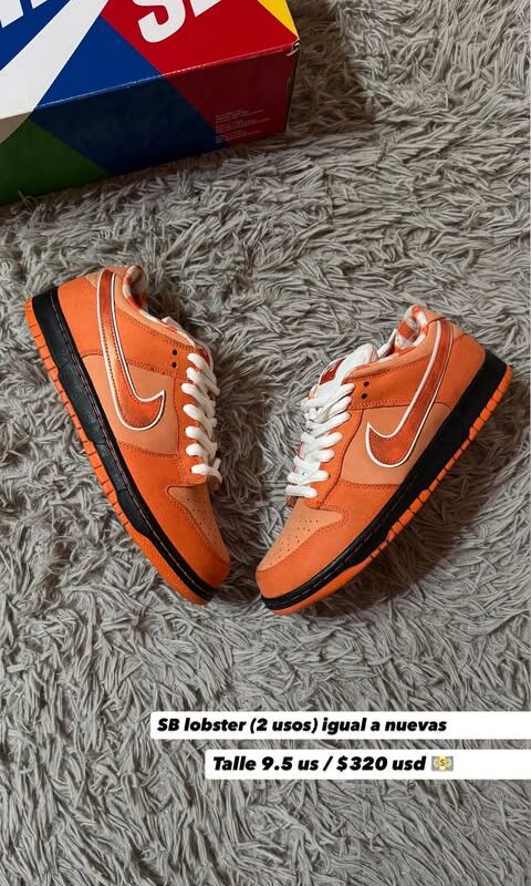 Nike SB Dunk Low Pro Orange