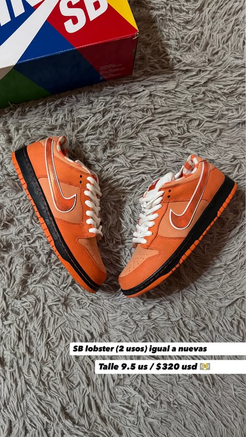 Nike SB Dunk Low Pro Orange