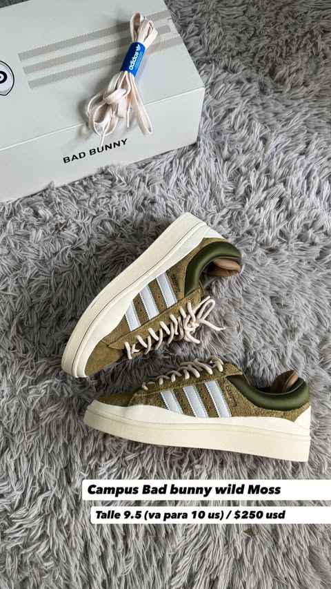 adidas Campus Bad Bunny Wild Moss verde oliva