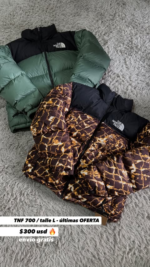 The North Face 700 Down Puffer Jacket